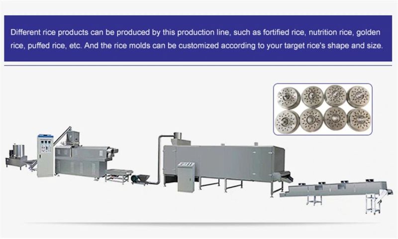 Best Selling Double Screw Extruder Artificial Fortified Rice Making Manufacturing Machine