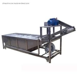 Fruit and Vegetable Washer Conveyor Belt Air Bubble Washing Machine