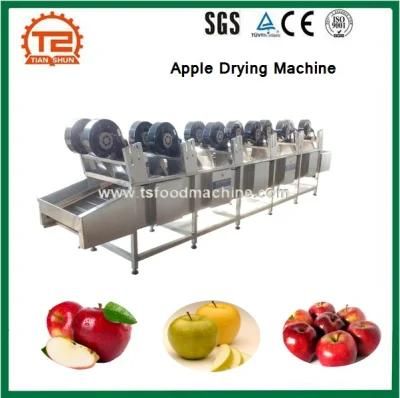 Stainless Steel Raw Potato, Carrot Onion Apple Drying Machine