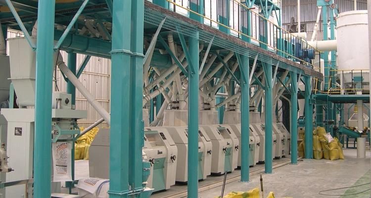 Six Floors of 500ton /24h Wheat Flour Milling Machine