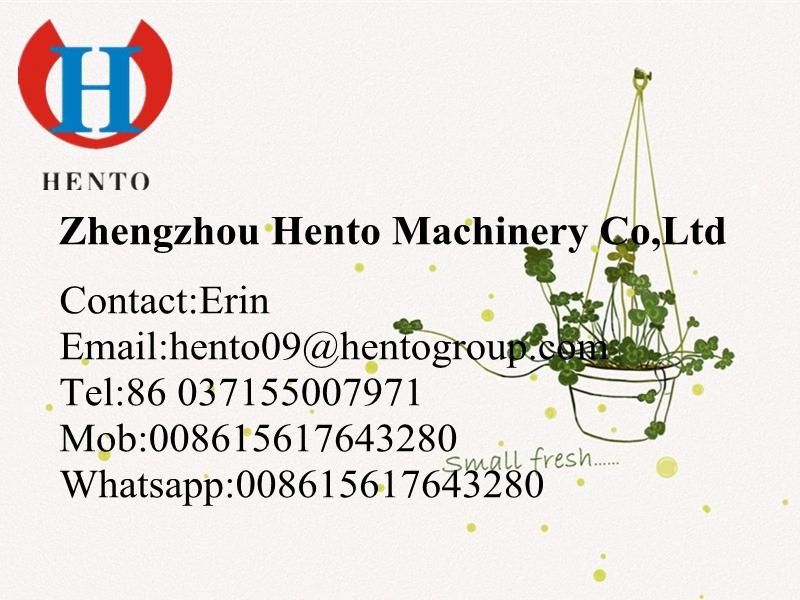 High Efficiency Professional Quail Egg Processing Production Line / Quail Egg Boiler Breaker Peeler Machines