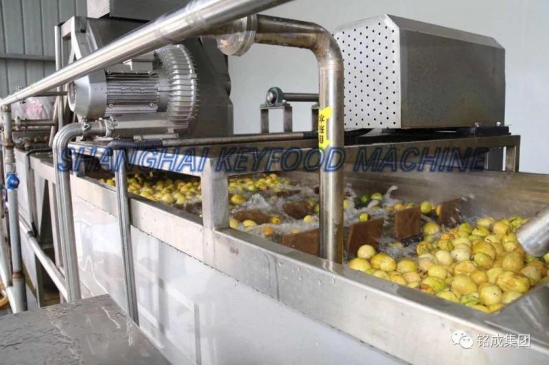 Fully-Automatic Juice Extracting Machine Filling Machine