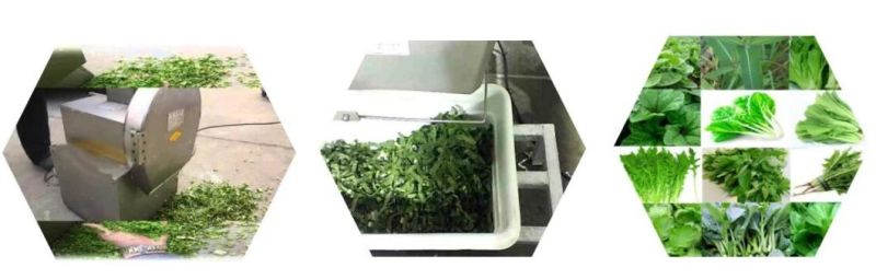 Electric Vegetable Cutter Fresh Leave Cutting Machine