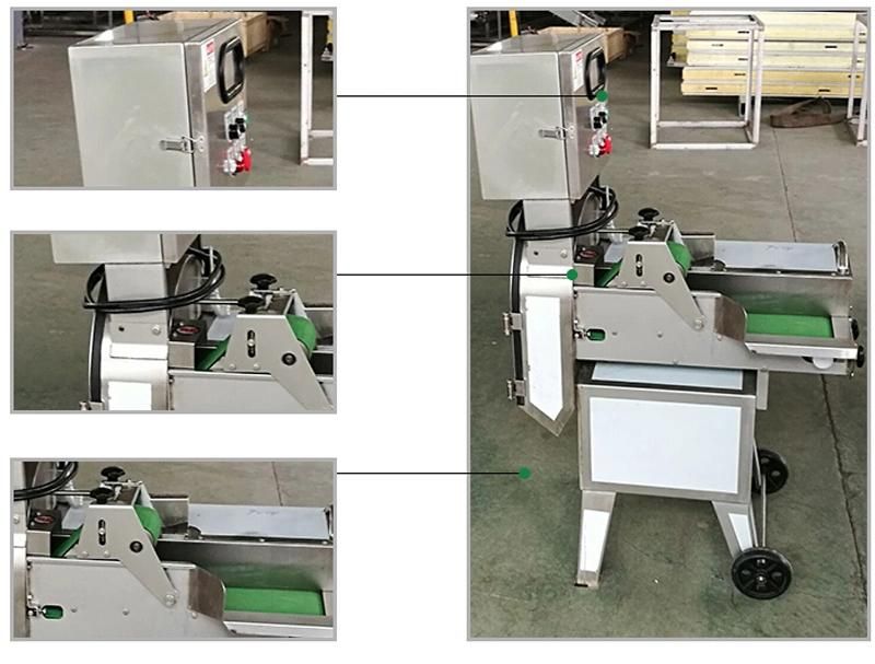 Customized 1.1kw Low Power Vegetable Cutting Machine