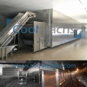 Individual Blast Freezer/IQF Belt Freezer/Quick Freezing Equipment