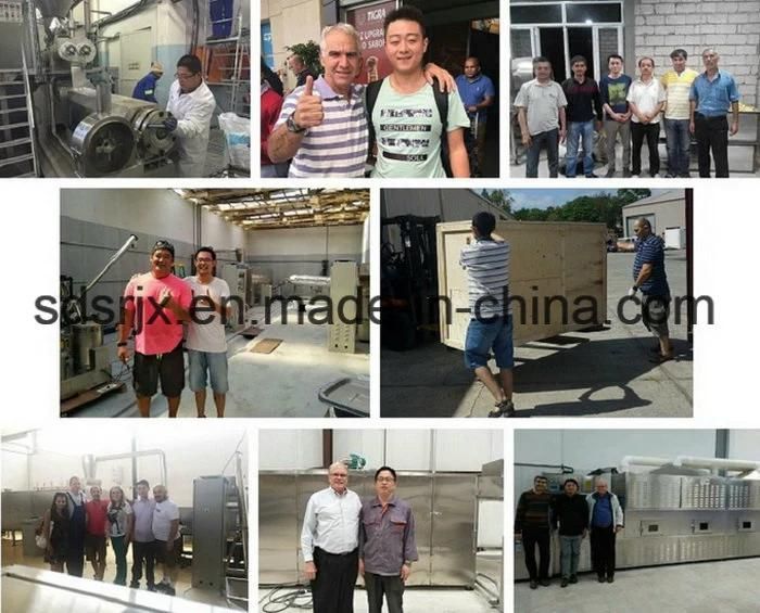 Automatic Twin-Screw Vegetable Meat Tsp Tvp Extrusion Production Line