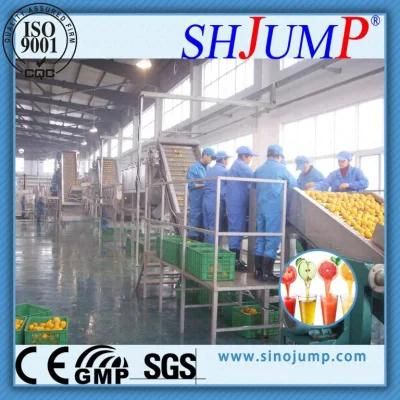 Fruit Puree Processing Equipment &amp; Fruit Puree Making Machine