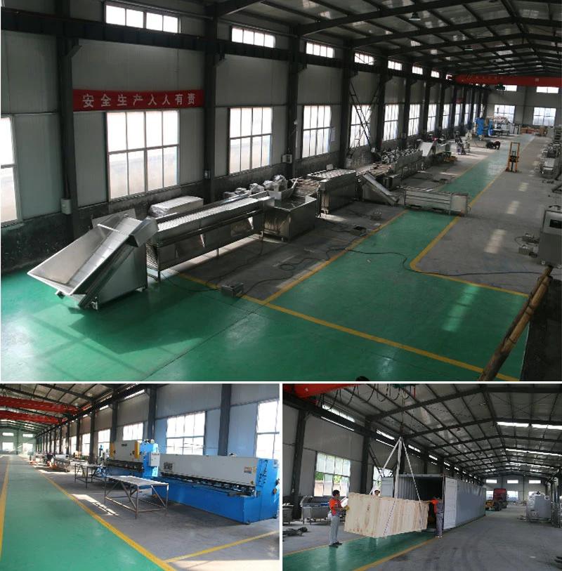 Chinese Suppliers Food Processing Industry Fruit Vegetable Drying Machine