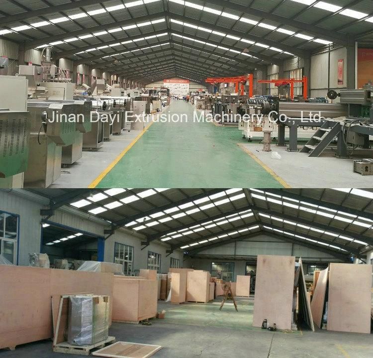 Dayi 3D 2D Fried Fryum Snacks Chips Fryum Extrusion Making Machine