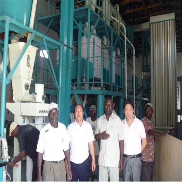 Corn Meal Processing Plant, Maize Flour Milling Machines South Africa