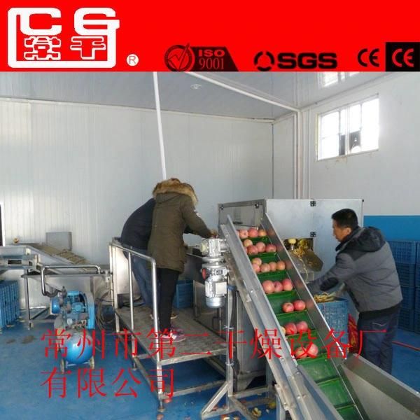 Betel Nuts (areca nut) Mesh Belt Dryer