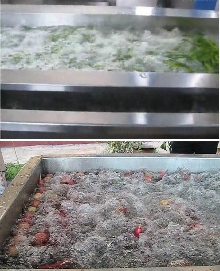 New Equipment for Fruit and Vegetable Washing Machine