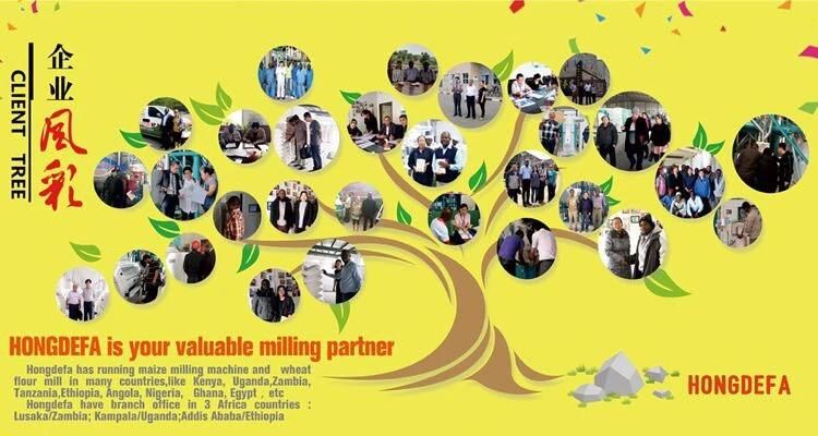 50tpd Maize Flour Processing Line Maize Mill Machine Produce Maize Flour Grits