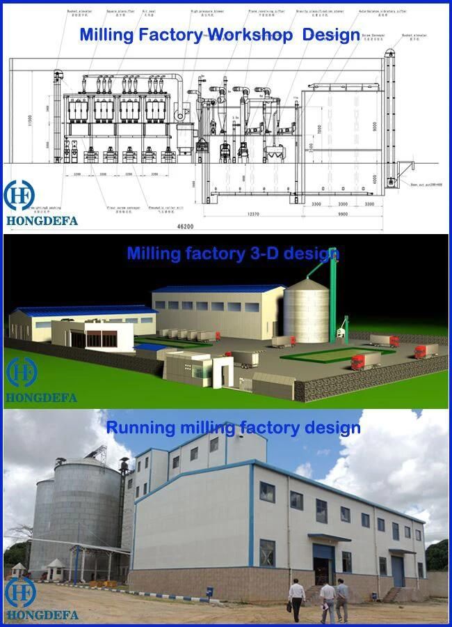 European Standard Corn Flour Mill Equipment Line