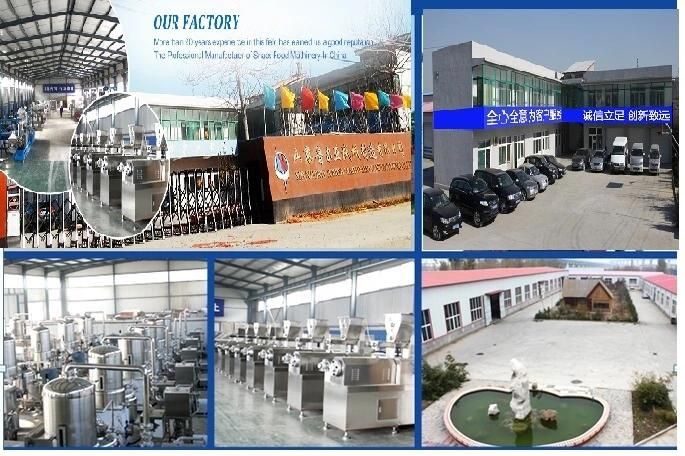 China Artificial Nutrition Fortified Rice Processing Making Machine