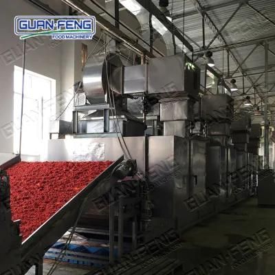 CE Certificate Belt Dryer Fruit and Vegetable Processing Line