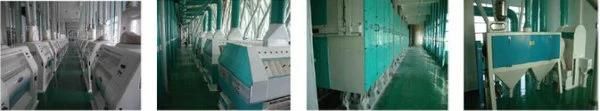 High Output Wheat Flour Milling Machines with Price