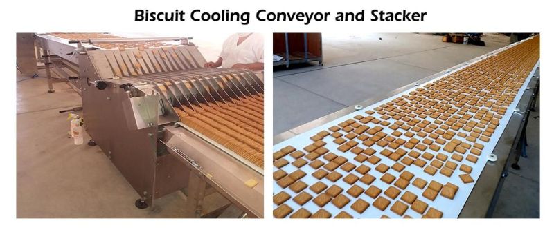 Standard Biscuit Production Line Cookies Making Machine Price