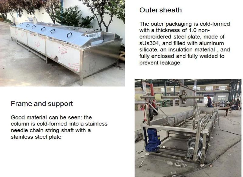 Onion Vegetable Fruit Blanching Machine /Mushroom Washing Garlic Onion Vegetables Blancher