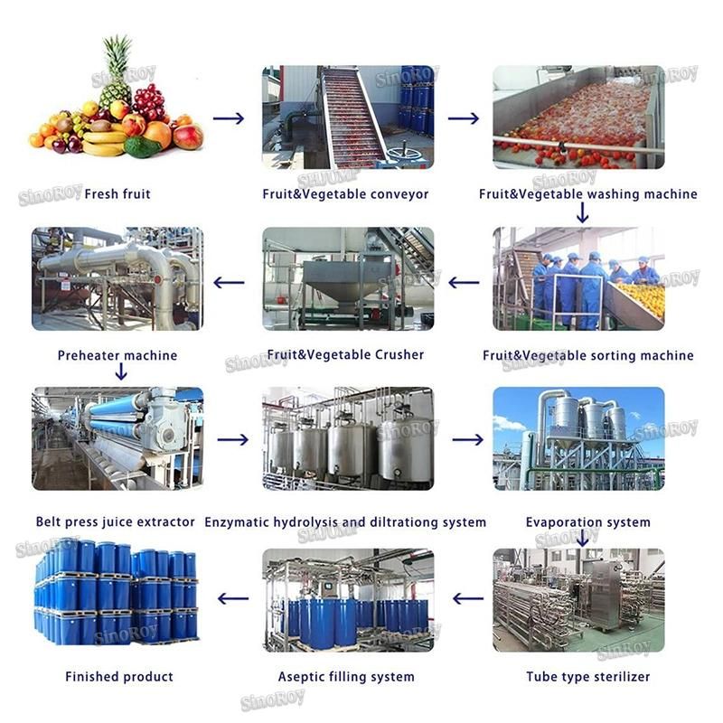 3 Tons Guava Sauce Production Line/Guava Sauce Processing Machine