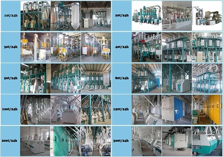 Maize Corn Cone Grinding Wheat Processing Flour Production Plant for Russia