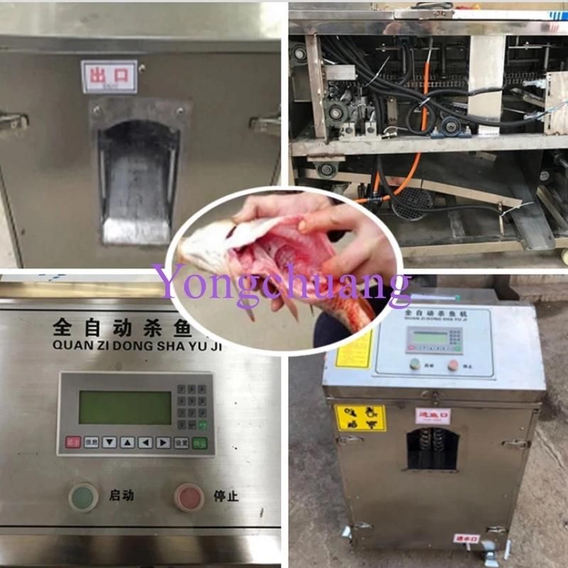 Fish Scale Removing Machine Killer Fish Scaling and Gutting Machine