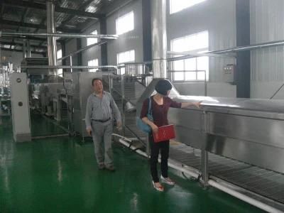 Small Capacity Instant Noodles Process Plant