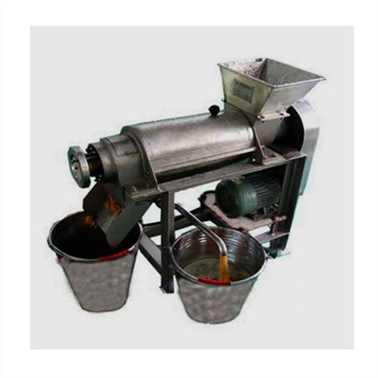 Industrial Juice Extractor Fruit and Vegetable Screw Press Juicer