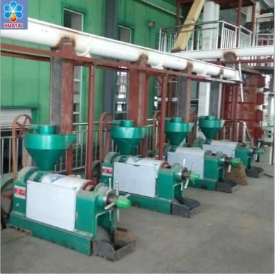 Sesame Seed Oil Press, Cold Press Technology, Sesame Oil Expeller