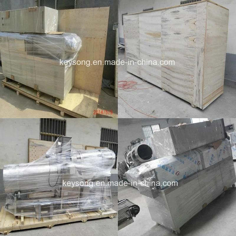 Double Screw Food Extruder