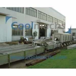 Cabbage Vegetable Quick Freezing Line/Food Processing Line