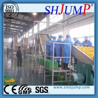 Honey Dew Melon Juice Processing Machine/ Muskmelon Puree Making Machine/ Melon Juice ...