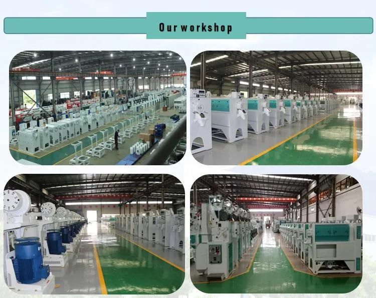 High Quality Rice Processing Machine Mmjx Rotary Rice Grader Machine