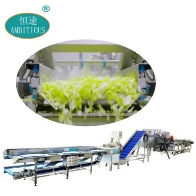 Leafy Vegetable Salad Cutting Washing Drying Machines Processing Line