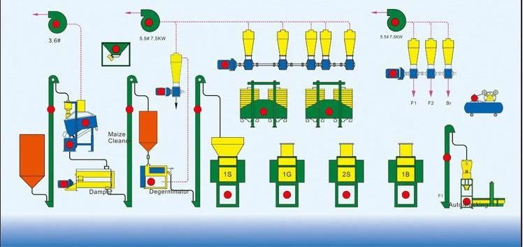 Tanzania Market Hot Sale 30t/D Maize Milling Line