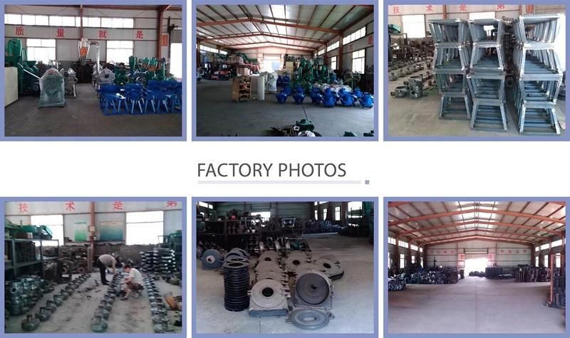 Disk Mill Type High Speed Cutting Food Machine