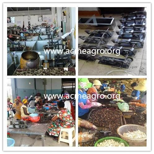 Manual Cashew Nuts Peeling Shelling Machine