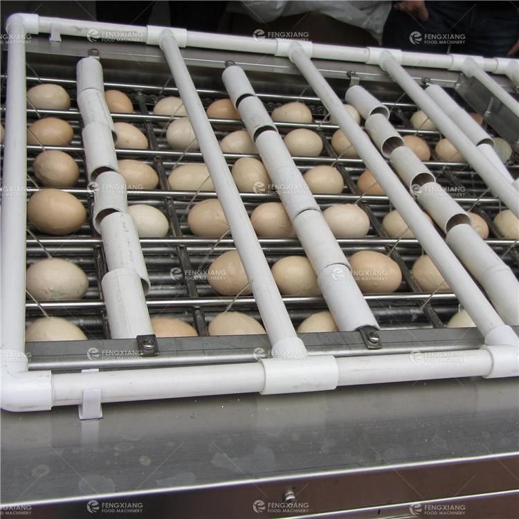 FT-200 Hen Egg Shelling Machine