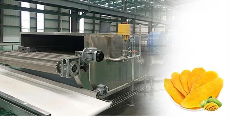 Customized Vegetable and Fruit Drying Equipment Drying Machine