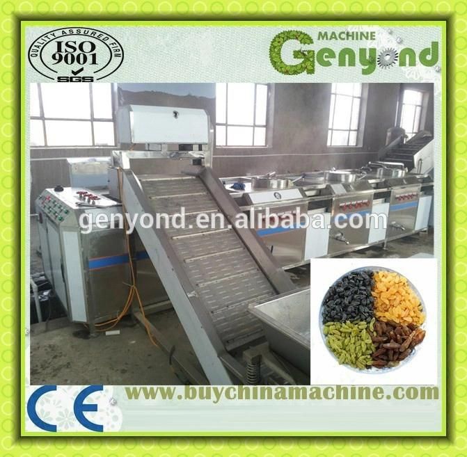 Professional Raisin Processing Plant Manufacturer