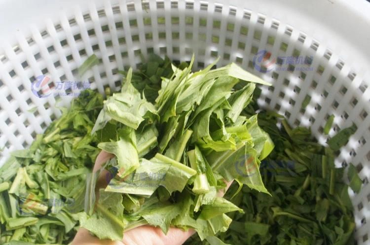 Leafy Vegetable Cabbage Dehydrator Drying Machine Fruit Spin Dryer