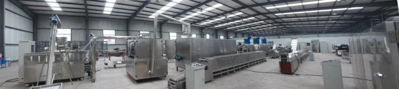 Cheese Snack Machine Cheese Snack Processing Line Cheese Snack Food Produce Plant