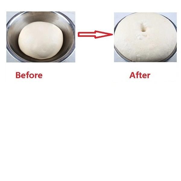 Bakery Bread Machine Dough Proofer