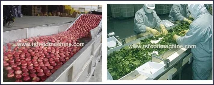 High Efficiency Professional Vegetable and Fruit Bubble Washer Food Processing Equipment