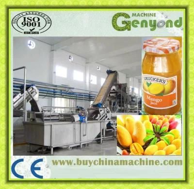 Professional Automatic Mango Jam Production Line