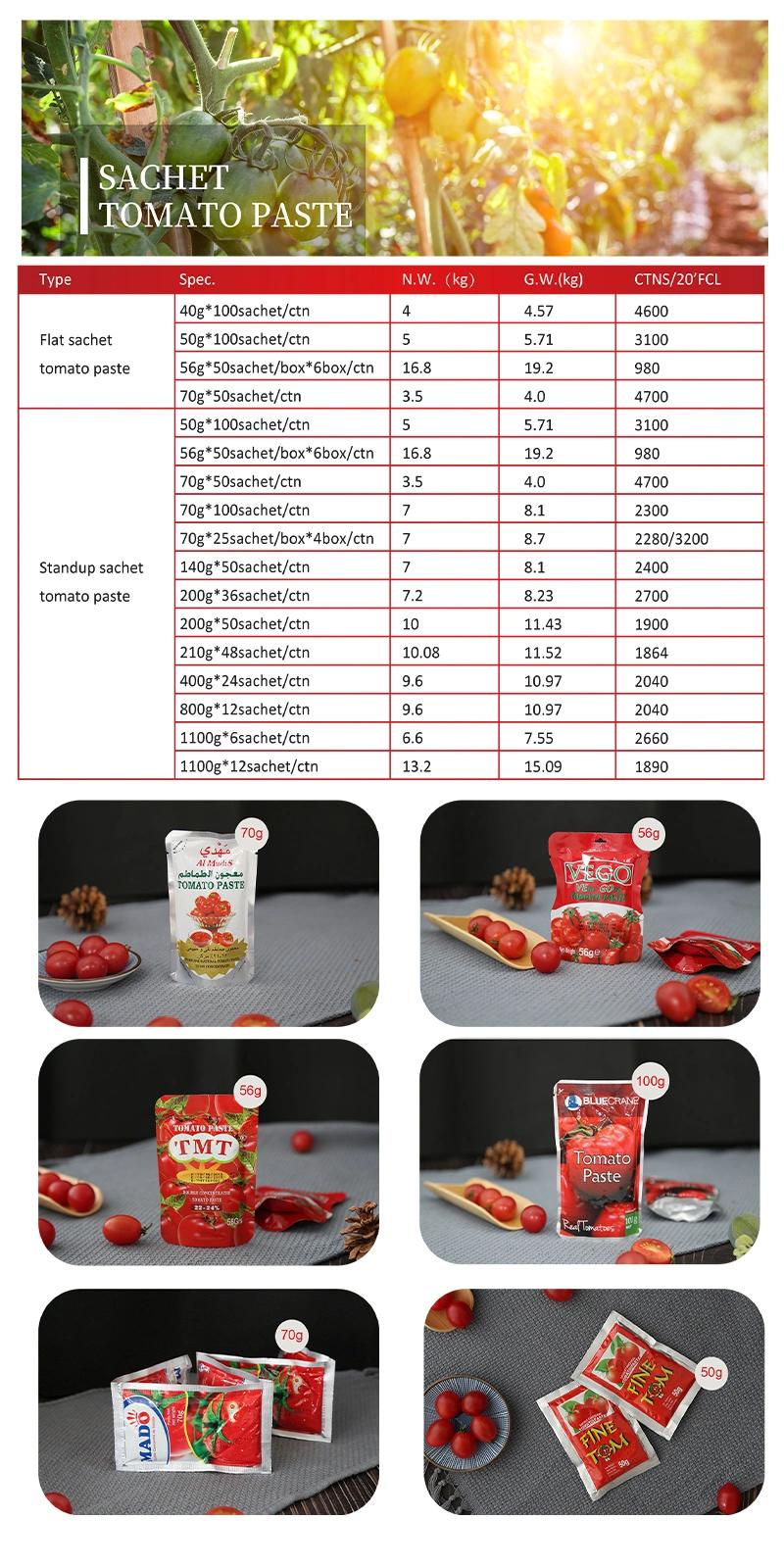 Good Quality Tomato Paste 70g 210g 400g 1000g 2.2kg for Africa