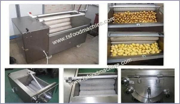 200kg/H Potato Washing Machine and Peeling Machine