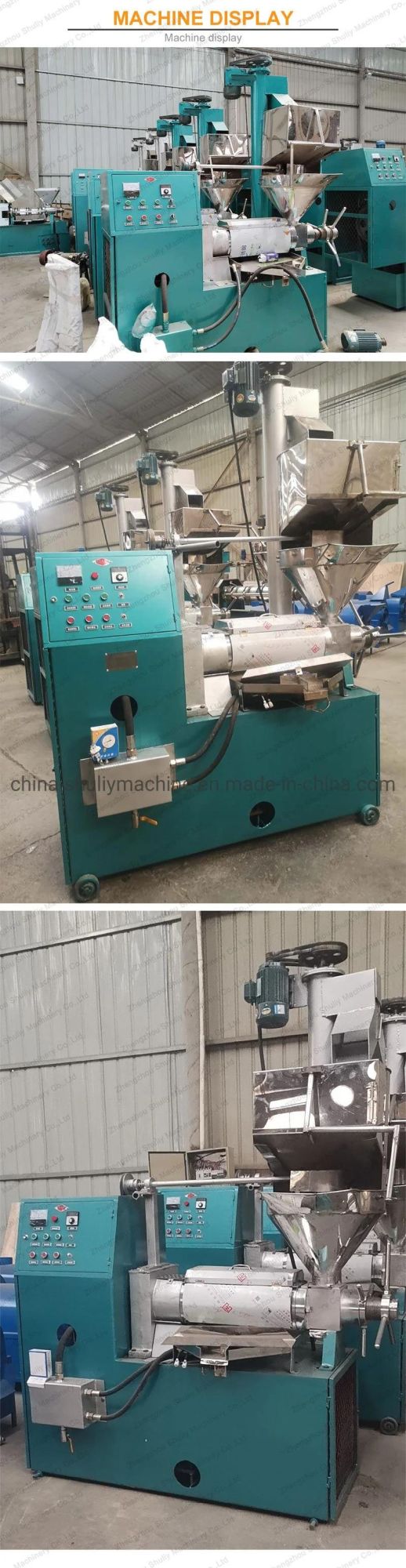 High Quality Cold Press Olive Oil Expeller Machine Peanut Oil Press Machine