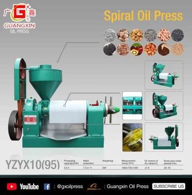 Cocoa Beans Oil Press From Guangxin