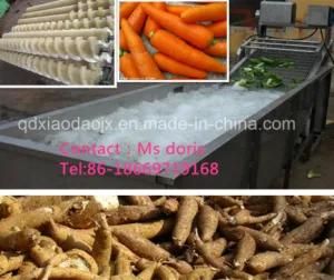 Stainless Steel Fruit and Vegetable Fruit Washing Machine